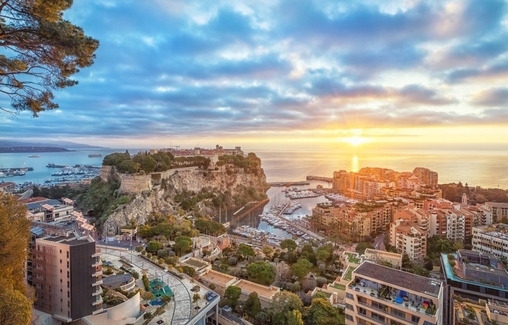 Location: <span>Cannes</span>