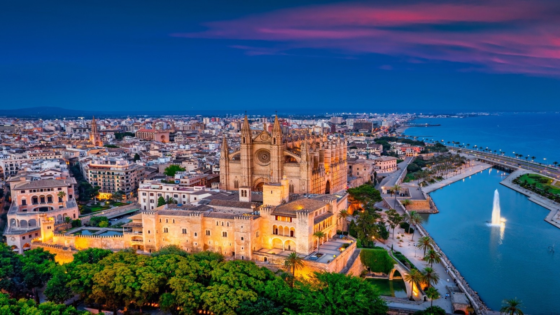 Location: <span>Palma de Mallorca</span>